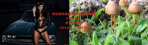 кокаин Белокуриха