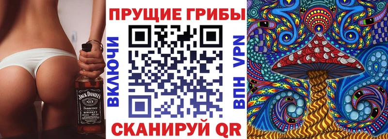 цена наркотик Торопец omg рабочий сайт Галлюциногенные грибы GOLDEN TEACHER